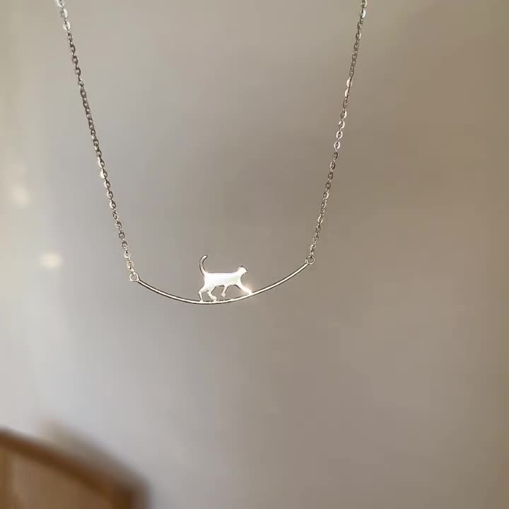 Colar de Gato a Escalar em Prata